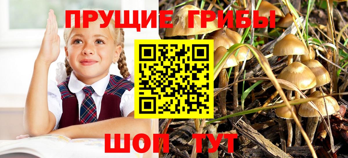 Псилоцибиновые грибы MAGIC MUSHROOMS  Вход с VPN  Псилоцибиновые грибы Psilocybe  Димитровград 